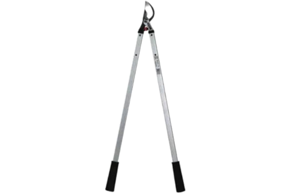 Barnel Lopper Boomgaard Landschap Licht