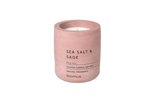 Blomus blomus -FRAGA- Doftljus S tillverkat av sojavax, med ros, högkvalitativ rumsdoft, karakteristisk betonggook, doft SEA SALT & SAGE, 24 h brinntid (H/B/D: 8 x 6,5 x 6,5 cm, vithered ros, 65651)