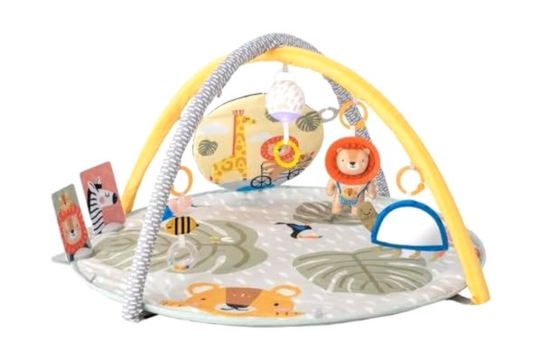 Taf Toys  Savannah Baby 360 Activity Gym. Double Sided Crinkling Padded Soft Mat with Flash Card Holder and 7 Hanging Sensory Toys. Suitable from Birth, Various