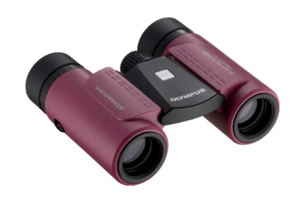 Olympus  - kikkert 8 x 21 RC II WP