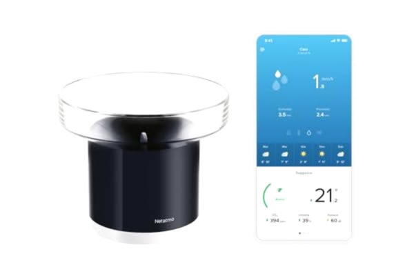Netatmo  Rain Gauge