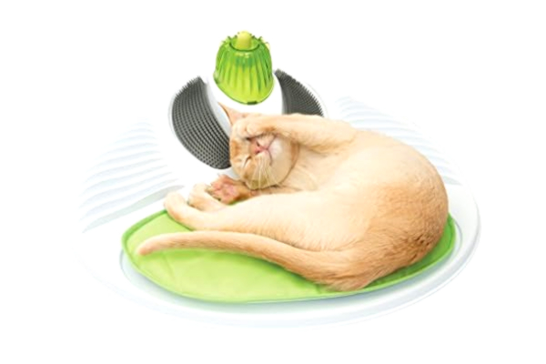 Cat It Catit Senses Wellness Centre Avslappningsplats för Katter, Grön