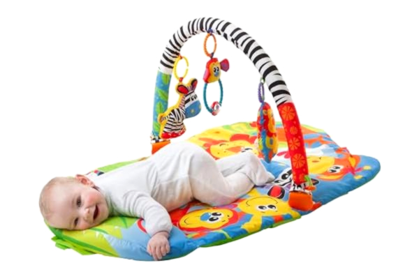 Playgro  krypfilt med lekbåge, med avtagbar leksak, från 0 månader, Safari Super Gym, färgglad, 40108