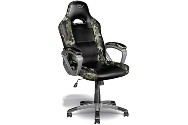 Trust  Gaming Chair GXT 705C Ryon - Ergonomic PC Desk Swivel Chair, Full 360° Rotatable, Class 4 Gas Lift, Armrest with Cushions, Tilting Seat, Double Wheels - Camo Green [Amazon Exclusive]