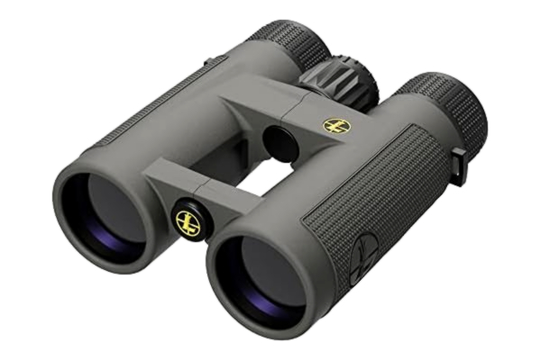 Leupold  BX-4 Pro Guide HD 8x42mm Roof Shadow Gray