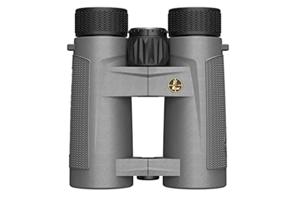 Leupold  BX-4 Pro Guide HD 10x42mm Roof Shadow Gray