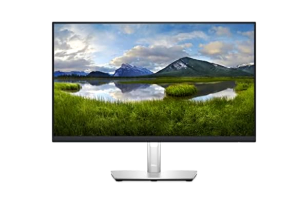 Dell 24" Dell P2423DE - 2560x1440 (QHD) - IPS - 90W USB-C HUB