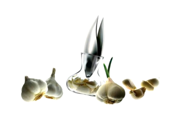 Eva Solo EVA SOLO | Vitlåkspress | Rostfritt stål, enkel rengåring