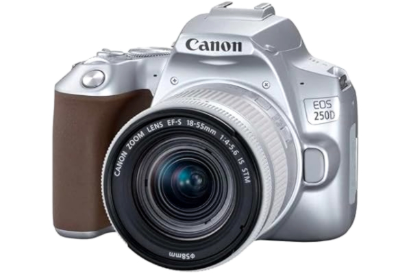 Canon  EOS 250D 18-55mm IS STM - Silver