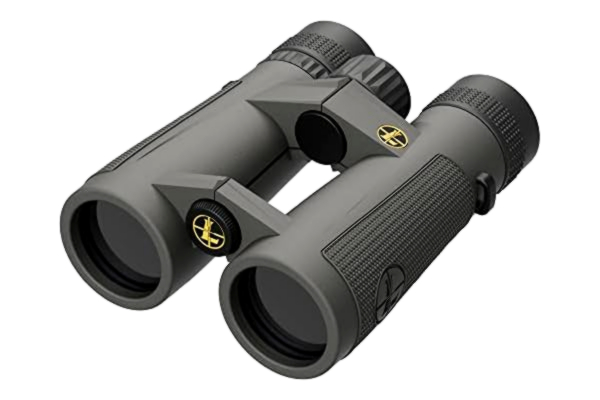 Leupold  BX-5 Santiam HD 10x42mm Gray