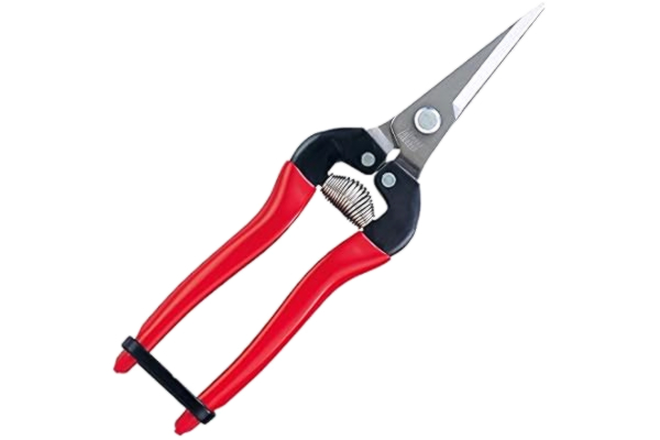 ARS  HP-300LDX Stainless Steel Needle Nose Fruit Pruners