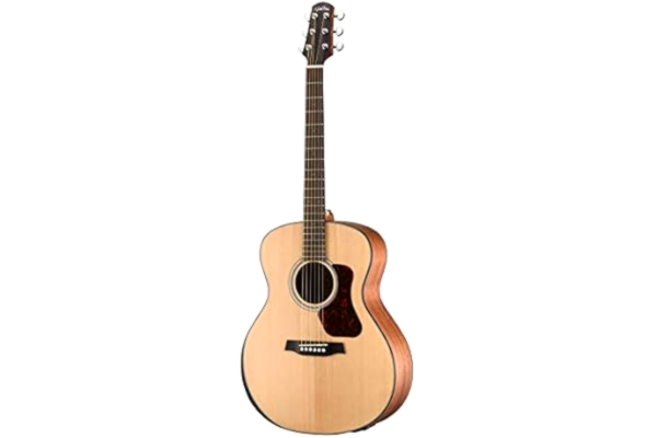 Walden  WAG550REW Natura 500 - Akustisk elektrisk gitarr (+ skydd)