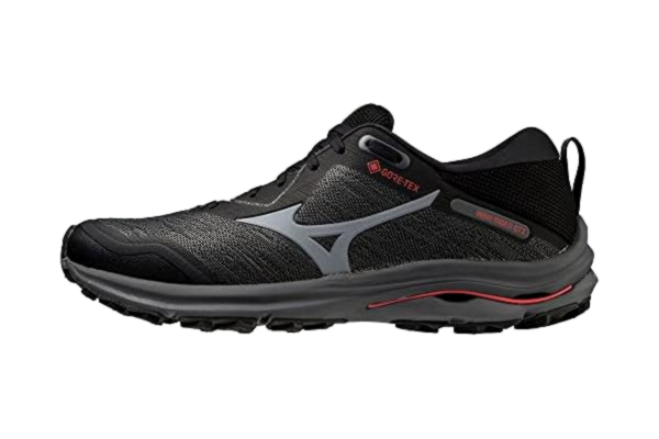 Mizuno  Męskie buty do biegania Wave Rider GTX, Iron Gate Boyster Mushroom Bittersweet, 44 EU