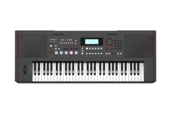 Roland  E-X50 Electronic Arranger Keyboard - Lätt att använda | Stereohögtalare | Bluetooth | Professionella Roland-ljud | Mikrofoningång | Automatisk ackompanjemangsfunktion