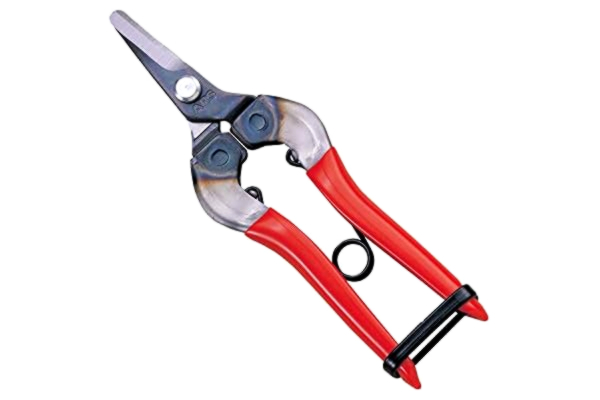 ARS  HP-310 Curved Blade Fruit Pruner
