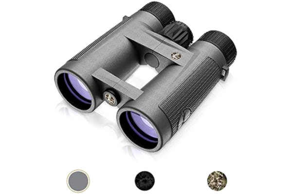 Leupold  BX-4 Pro Guide HD 10x42mm Roof Shadow Gray