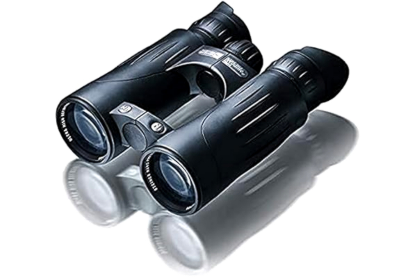 Steiner  Wildlife XP 10x44 Jumelles - proximité maximale, optique ultra-HD, couleurs à contraste élevé - parfaites pour la nature, - observation d'animaux et d'oiseaux