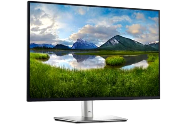 Dell 24" Dell P2425 - 1920x1200 (WUXGA) - 100Hz - IPS - USB 3.2 HUB