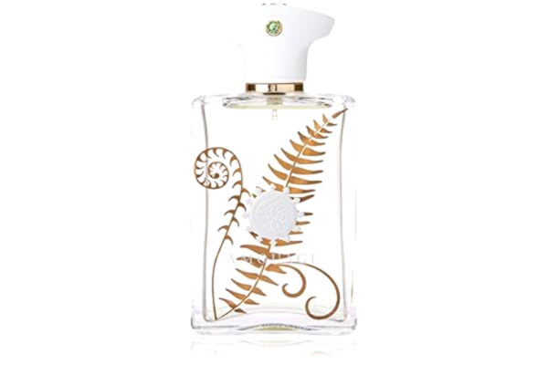 Amouage  Bracken Homme Eau de Parfum, 100 ml