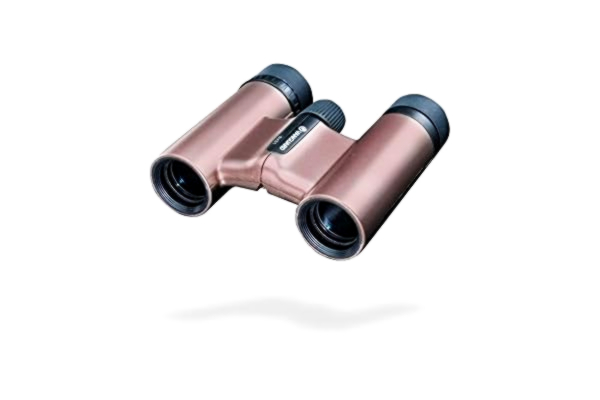 Vanguard  Vesta Kompakti