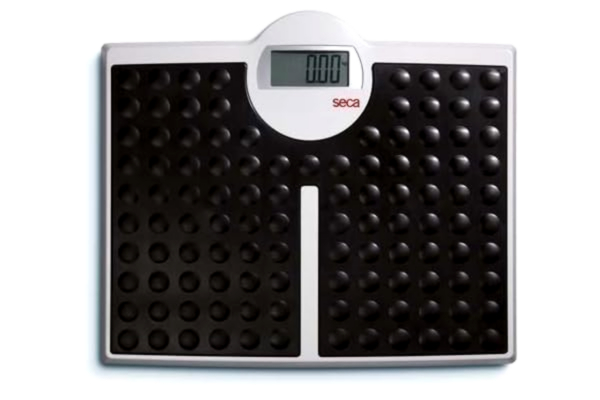 Seca seca 813 High Capacity Digital Flat Scale for Individual Patient Use.
