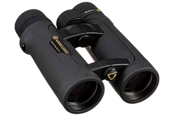 Vanguard  Yritys ED II 8420