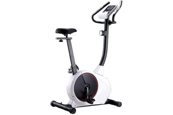vidaXL  Vélo Magnétique d'Appartement avec Mesure du Pouls Vélo d'exercice Vélo de Fitness Vélo d’Intérieur Sport à Domicile Entraînement