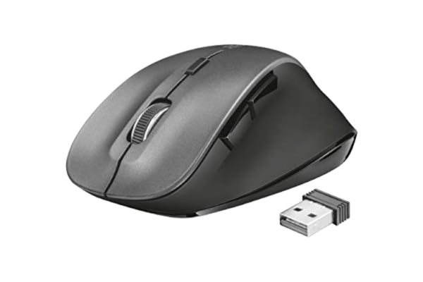 Trust  22878 RAVAN Souris Noir sans Fil