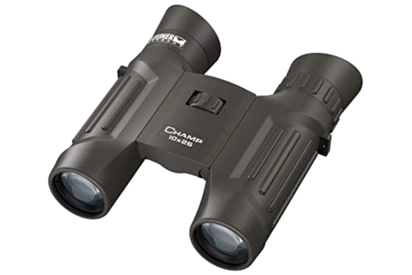 Steiner  Champ 10 x 26 Jumelles - Compactes, Petites, maniables, Le Compagnon idéal pour Les Vacances ou Le Tourisme Noir/Marron