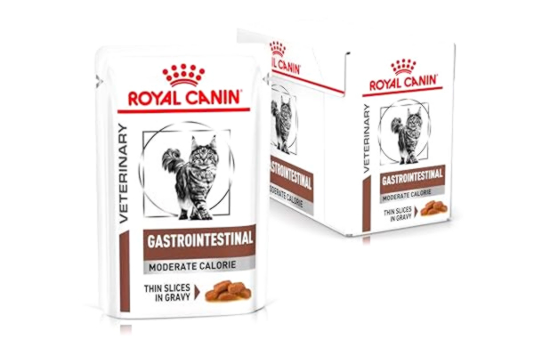 Royal Canin  Gastro Intestinal, Humid Food for Cat, Pack 12 x 100 g
