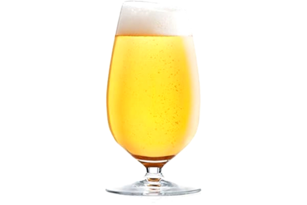 Eva Solo EVA SOLO | Ã–lglas 2 st. litet