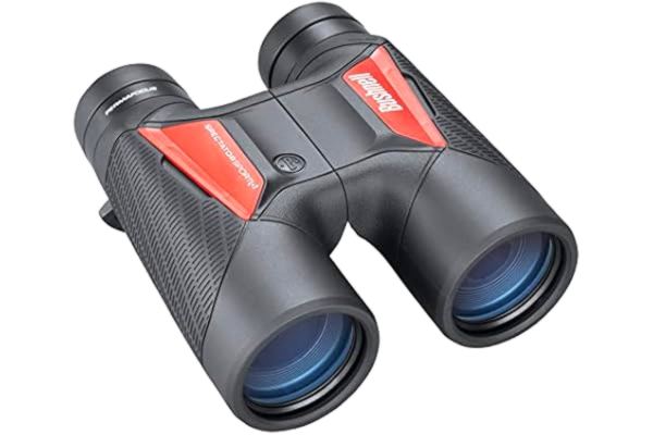 Bushnell BUSHNELL - Jumelles Spectator Sport - 10x50 - Personnalisables - Design Ergonomique - Image Claire et Lumineuse - Perma Focus - Mise au Point Automatique - BS11050
